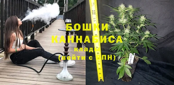 ALPHA-PVP Новозыбков