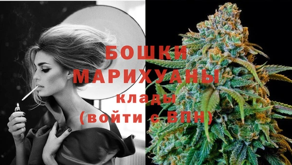 spice Нязепетровск