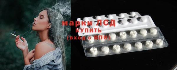 ГАЛЛЮЦИНОГЕННЫЕ ГРИБЫ Няндома