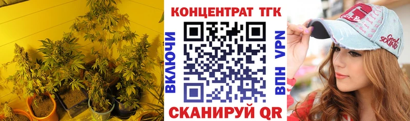 сколько стоит  Менделеевск  ТГК концентрат 