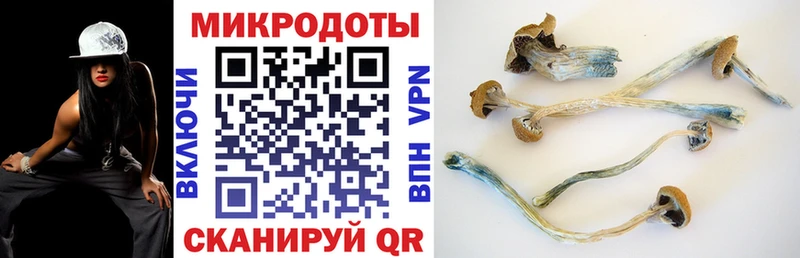где можно купить Менделеевск Галлюциногенные грибы мухоморы