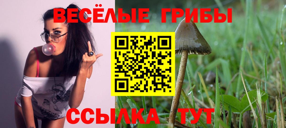 Менделеевск  Псилоцибиновые грибы мухоморы  даркнет сайт  Вход с VPN 
